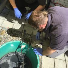 Septic Repair Seattle 1