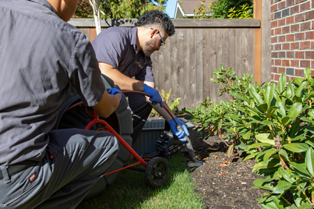 5 Most Common Plumbing Problems You're Likely To Experience As A Homeowner