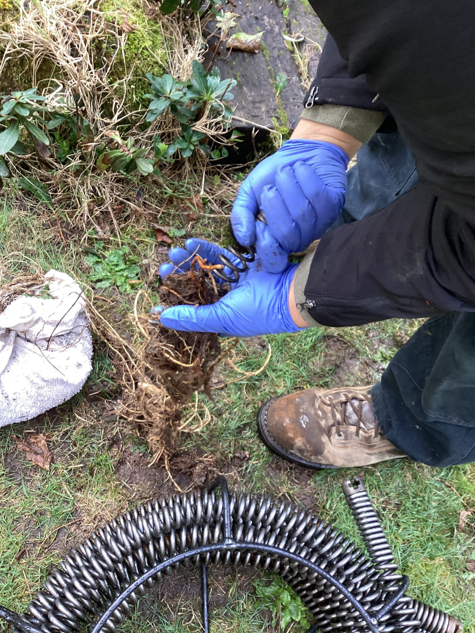 Root Clog Removal in Federal Way, WA