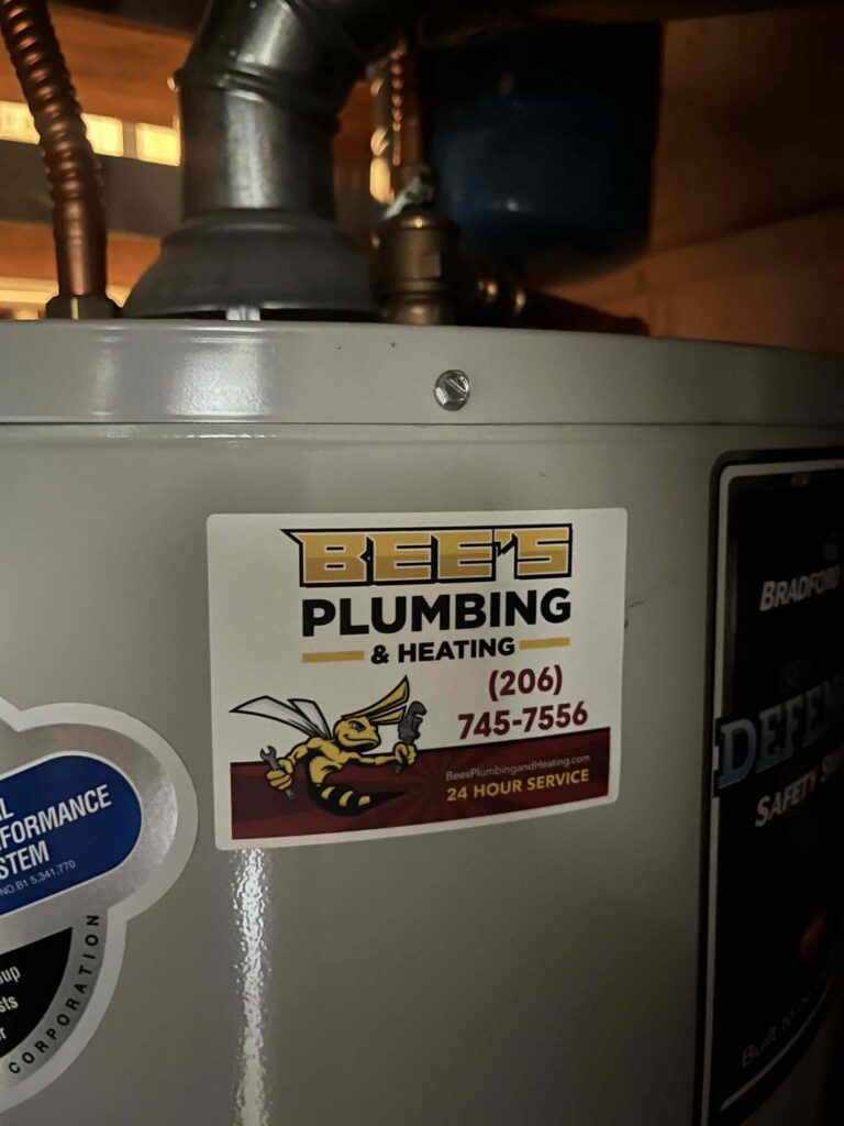 Water Filtration Upgrade in Rainier Valley Home - Photo 7